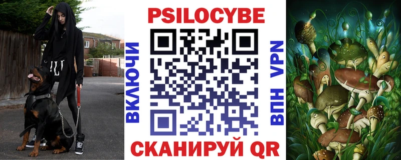Псилоцибиновые грибы Cubensis  Купить  Урюпинск 